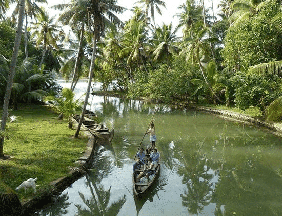 Backwaters