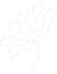 lotus-draw